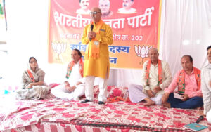 2-7-300x188 भाजपा का बदनावर विधानसभा स्तरीय सक्रिय सदस्य सम्मेलन संपन्न